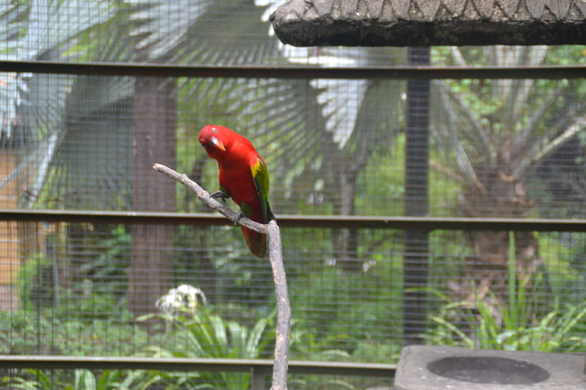 DSC_0172.JPG