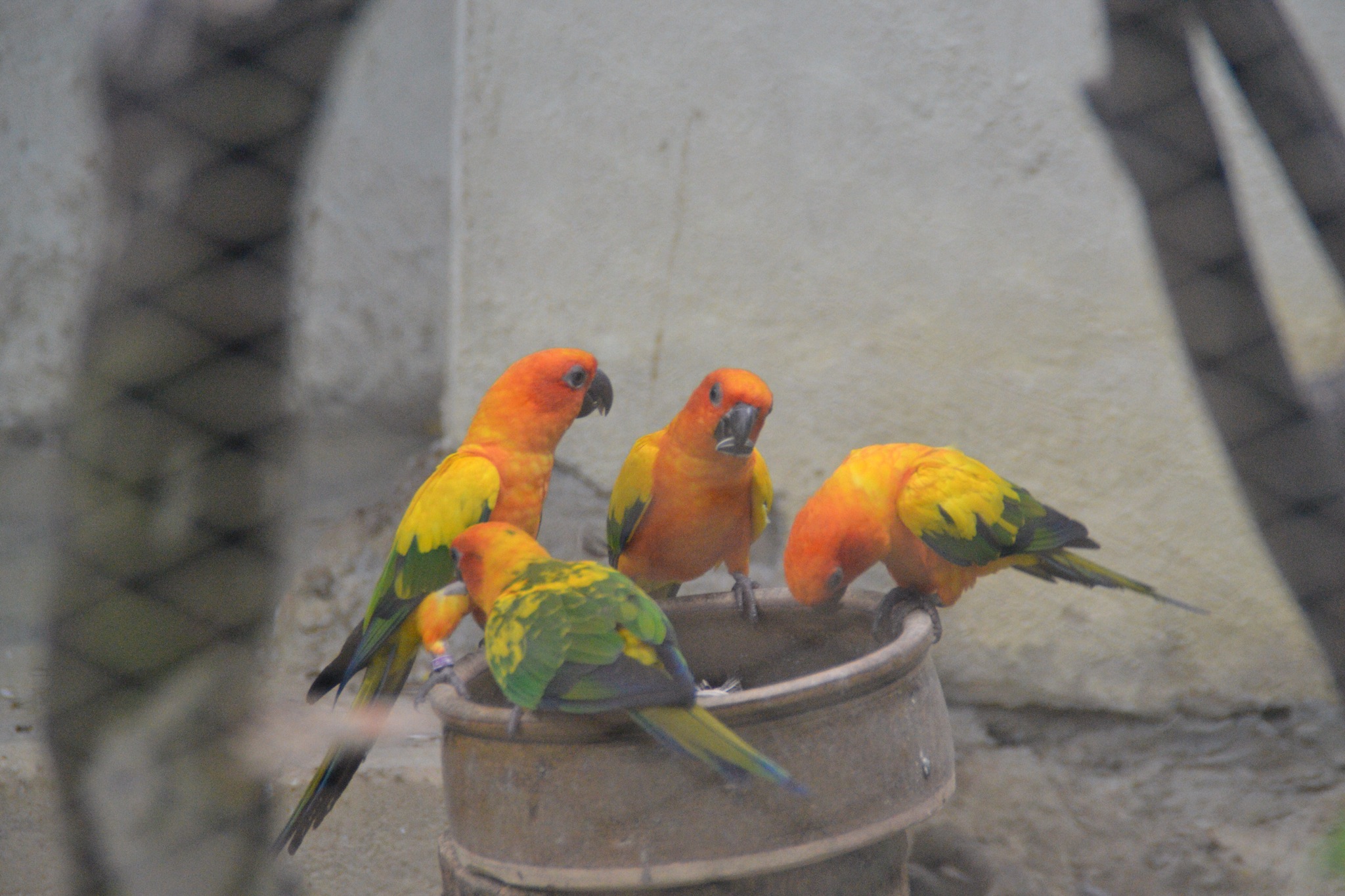 DSC_0177.JPG