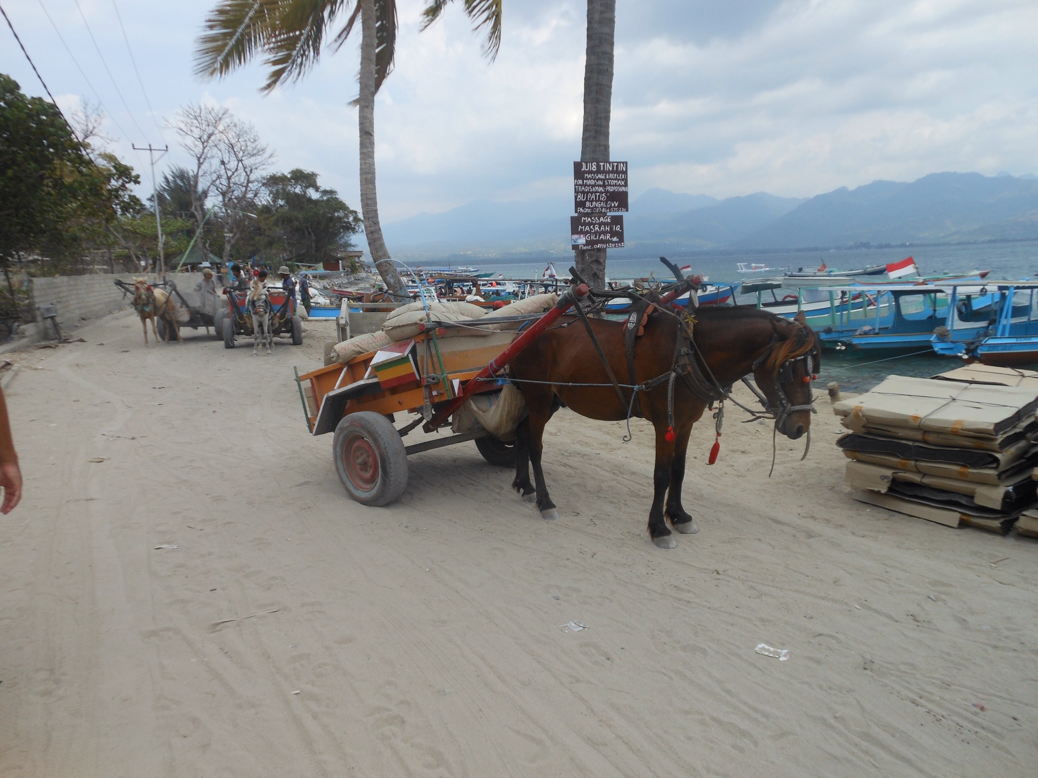 DSCN0518.JPG