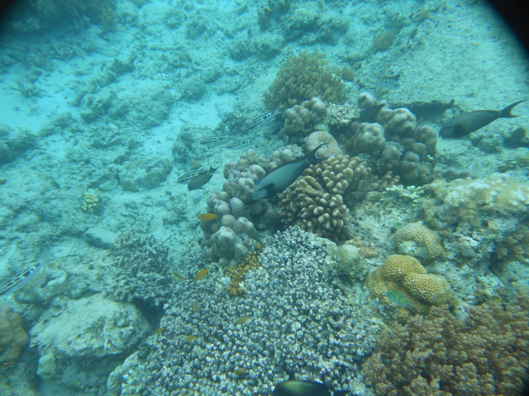 DSCN0541.JPG