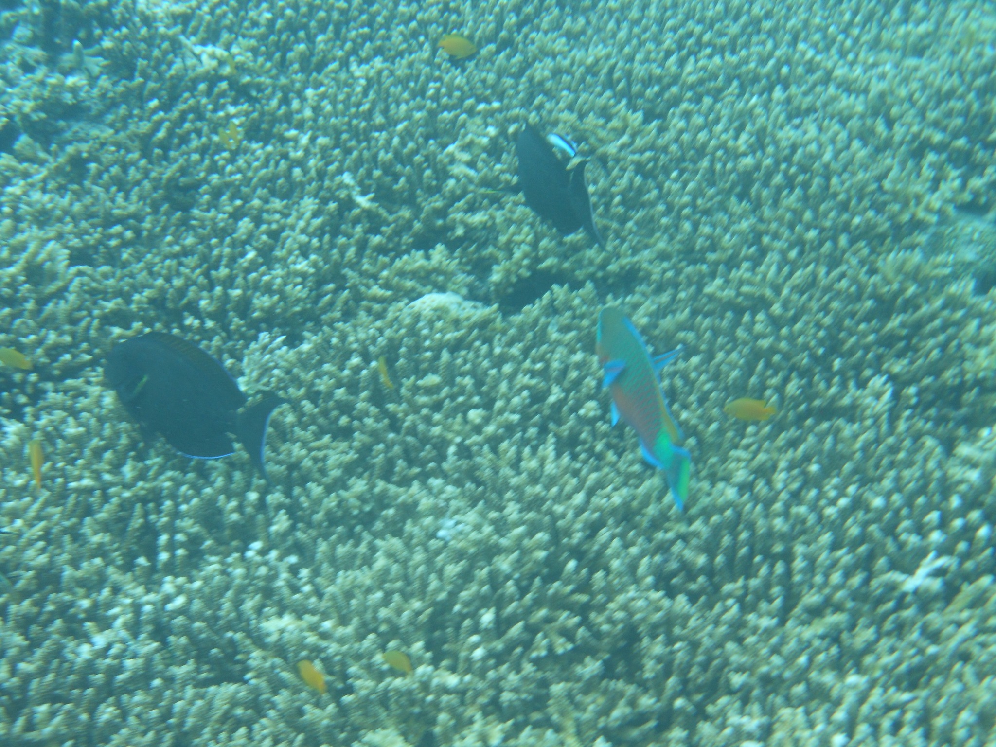 DSCN0557.JPG