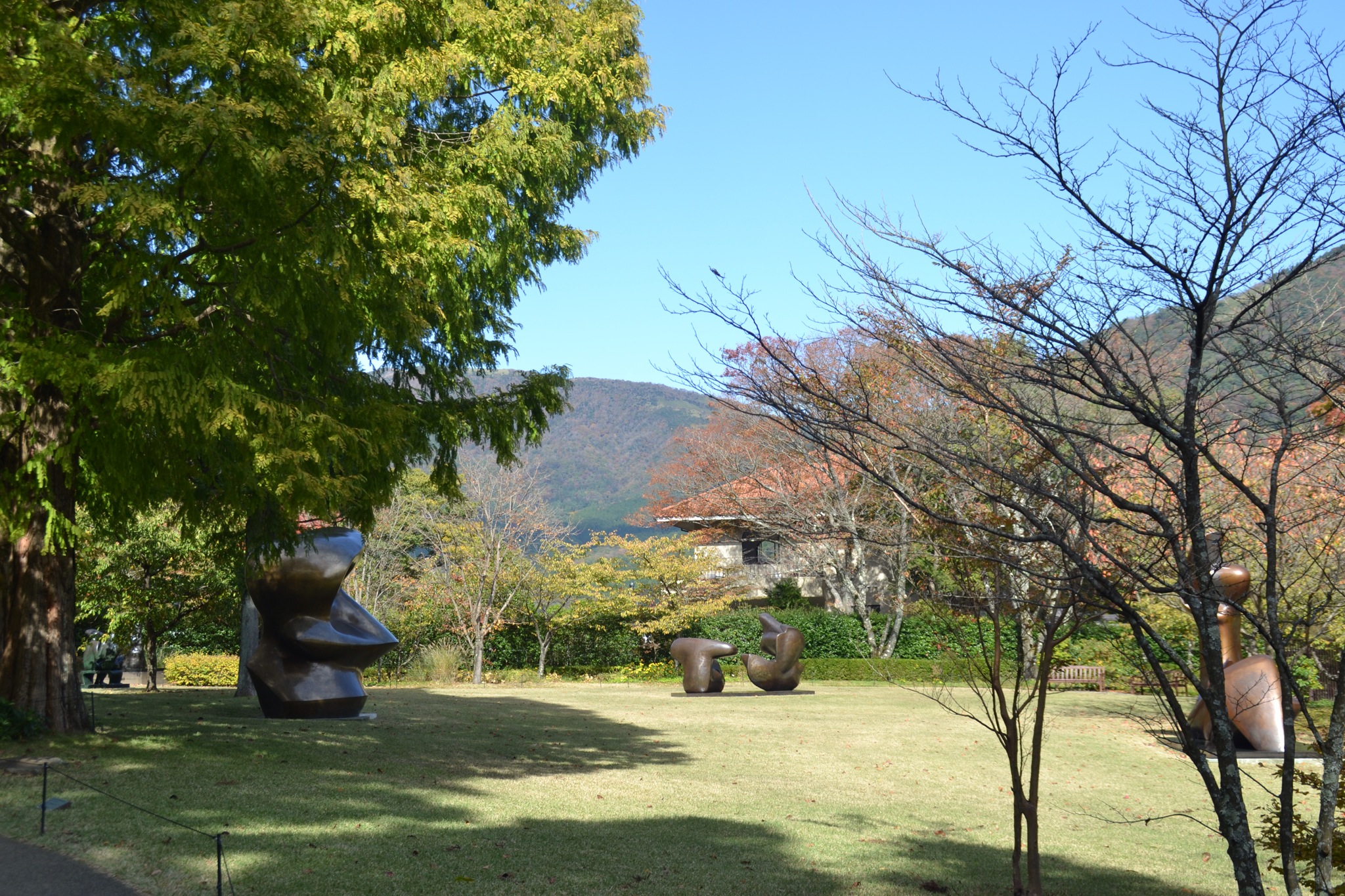 DSC_0287.JPG