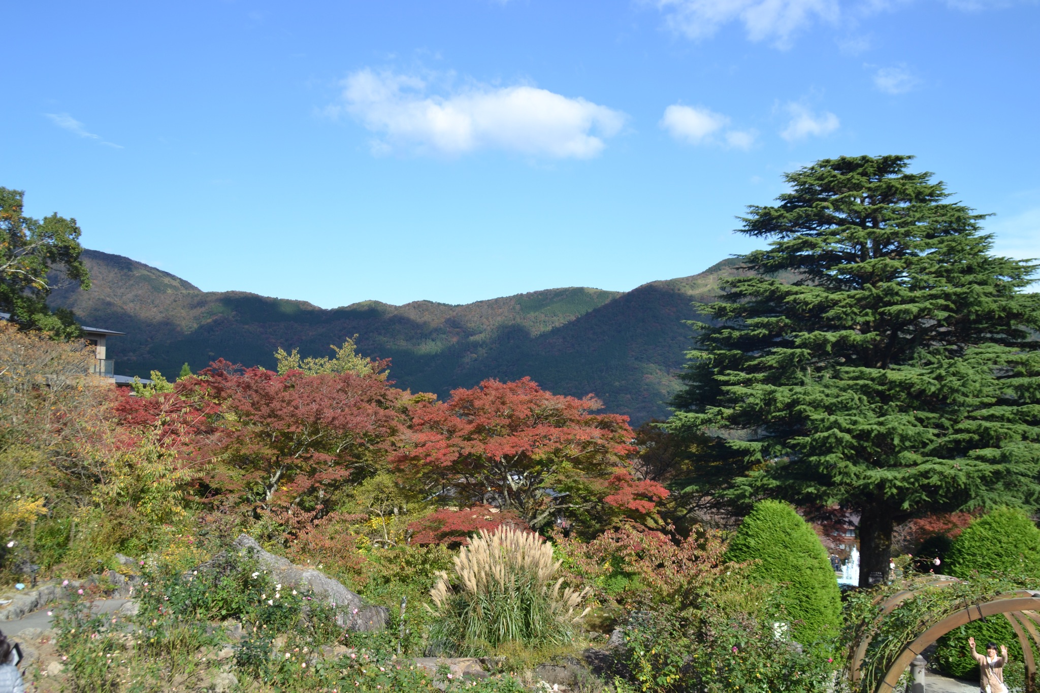 DSC_0300.JPG
