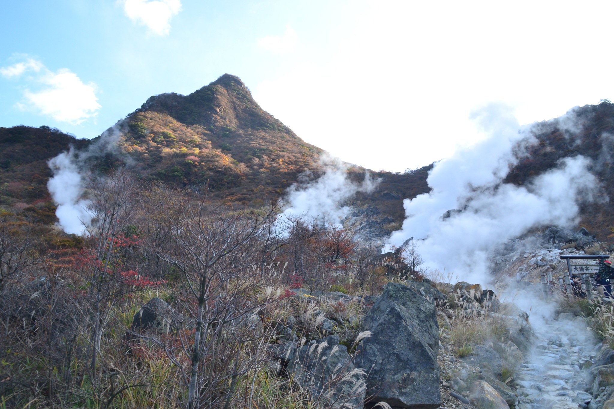 DSC_0319.JPG