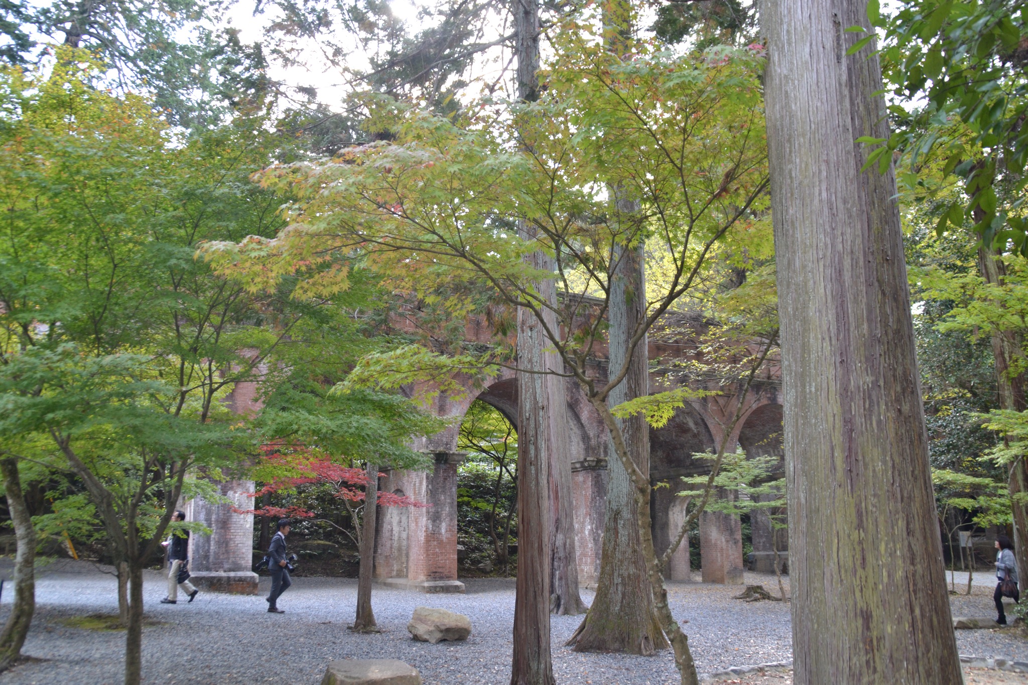 DSC_0476.JPG
