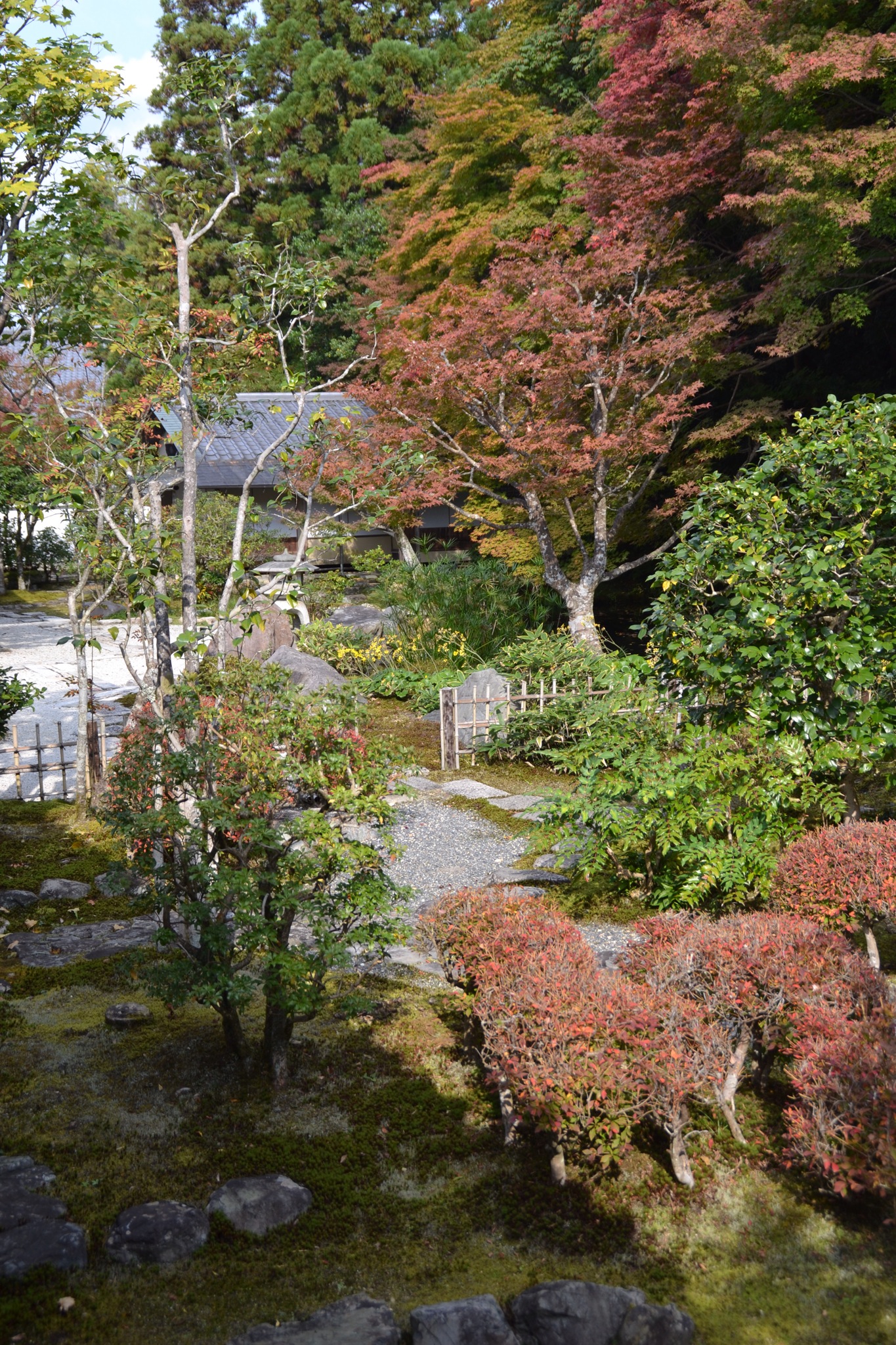 DSC_0479.JPG