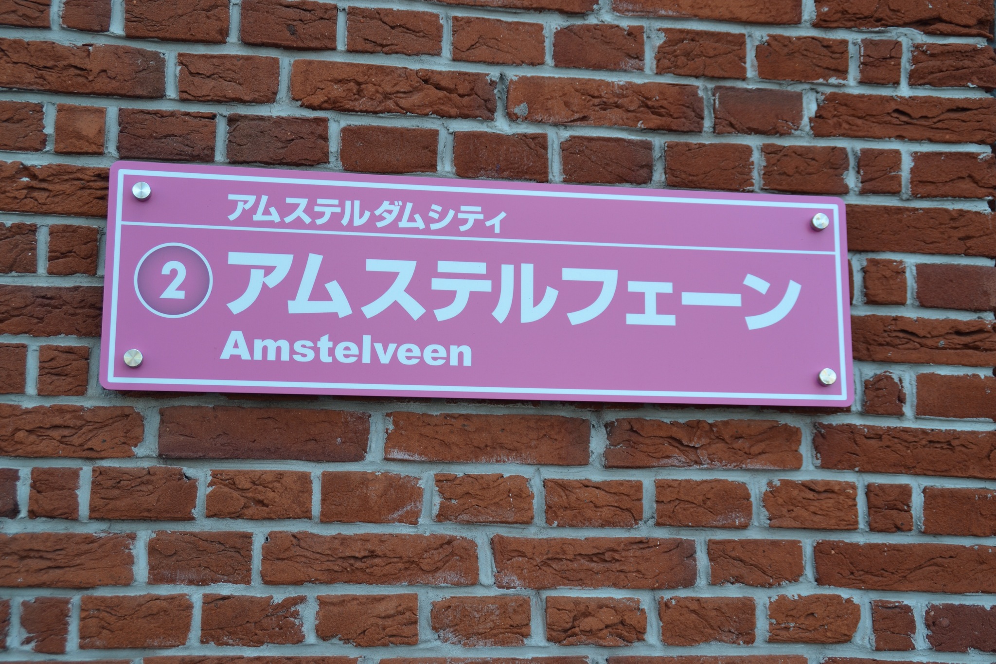 DSC_0793.JPG