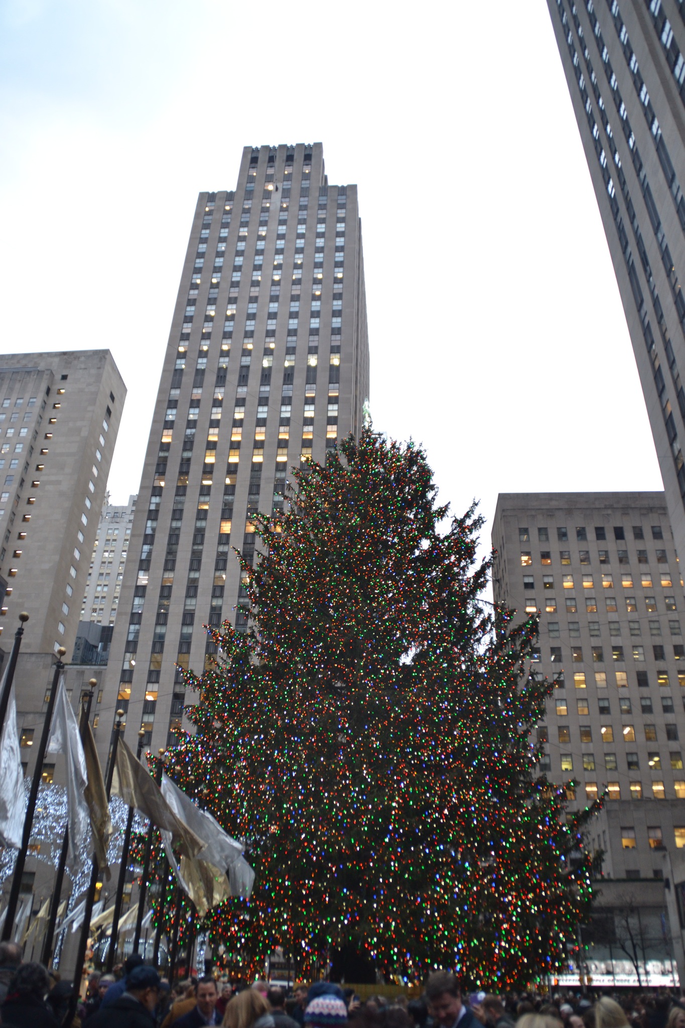 DSC_0158-0.JPG
