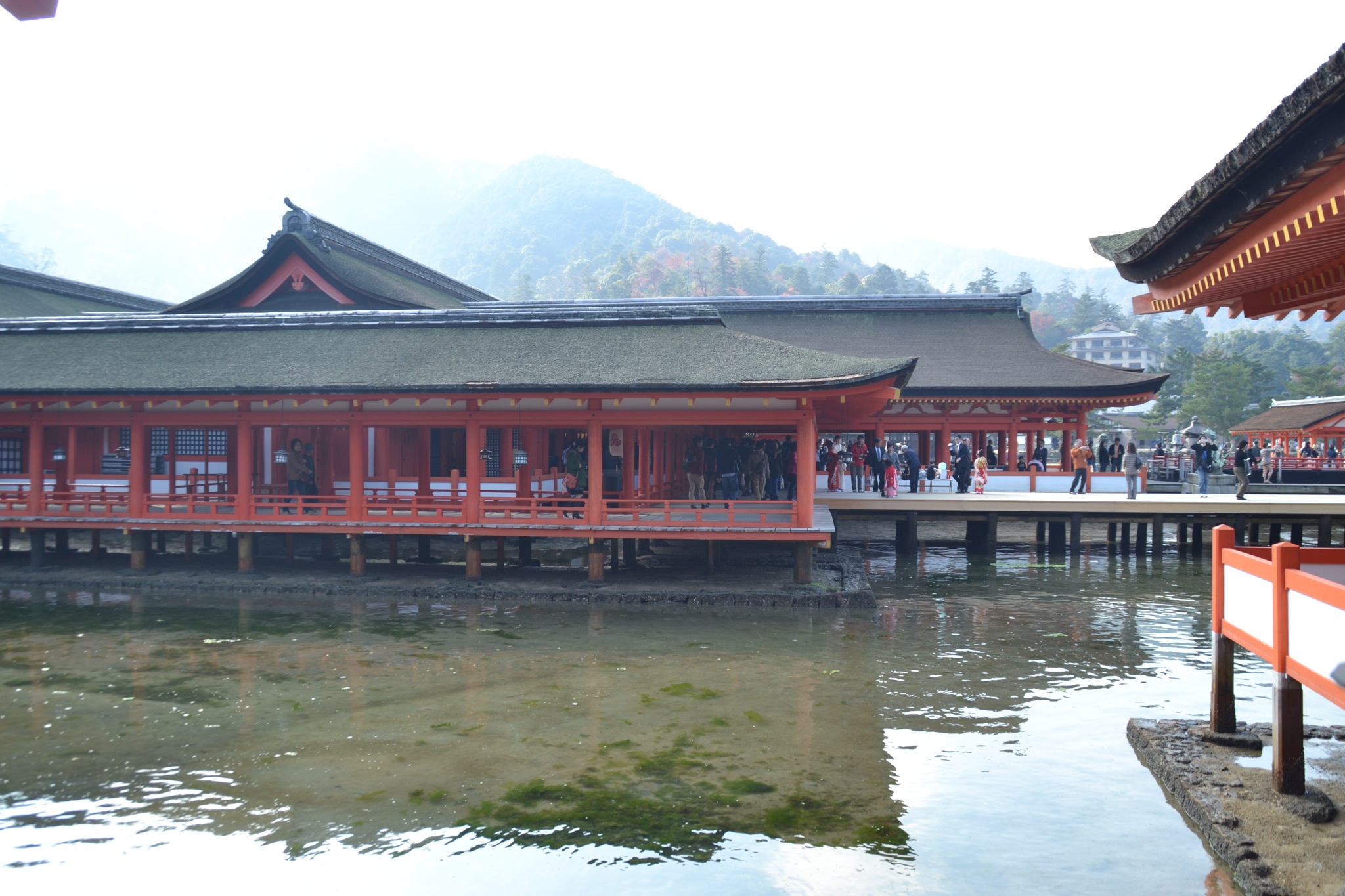 DSC_0876.JPG