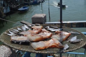 Fish in Hong Kong