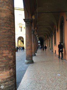 IMG_1317